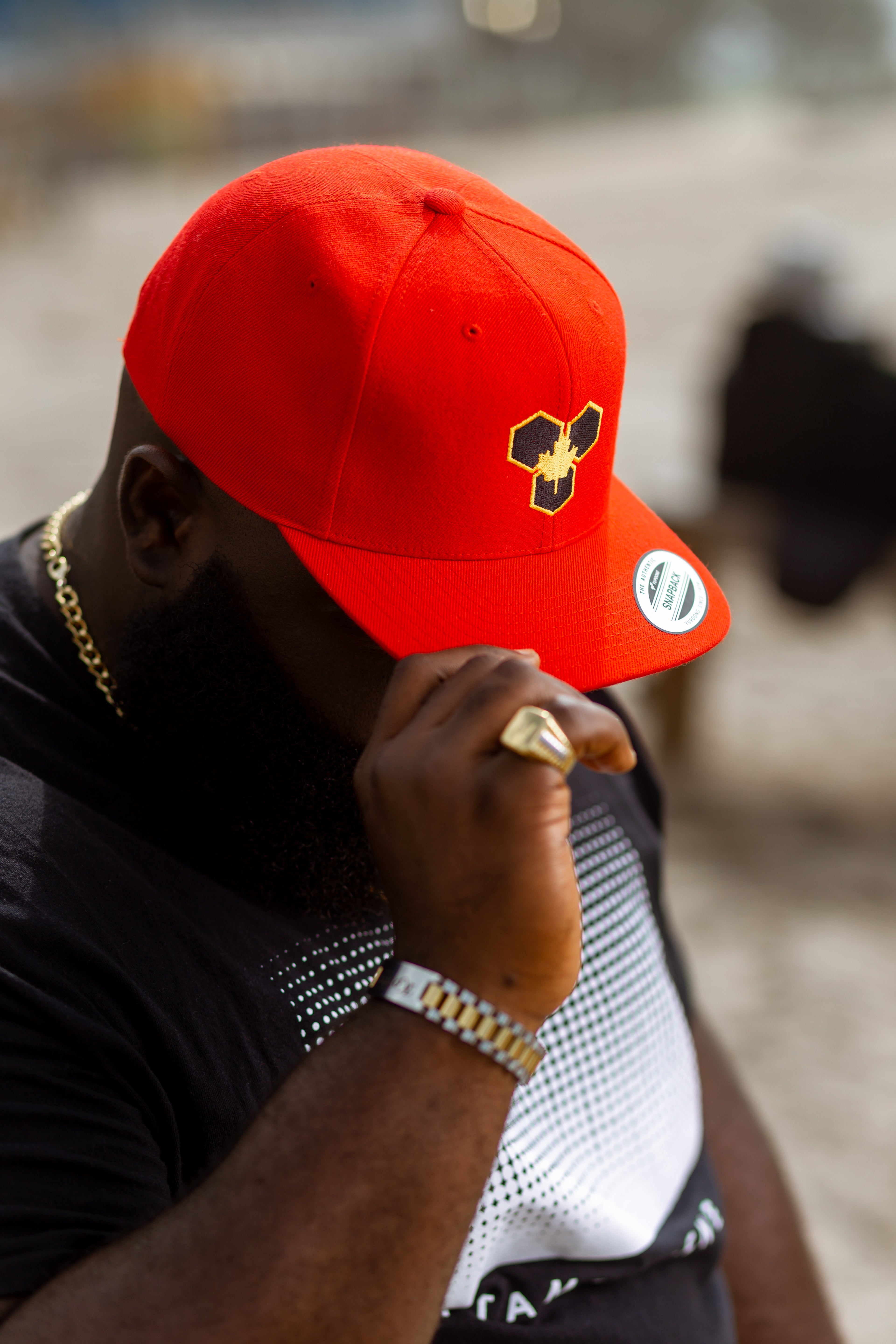 Royal Circle – Lifetime Access