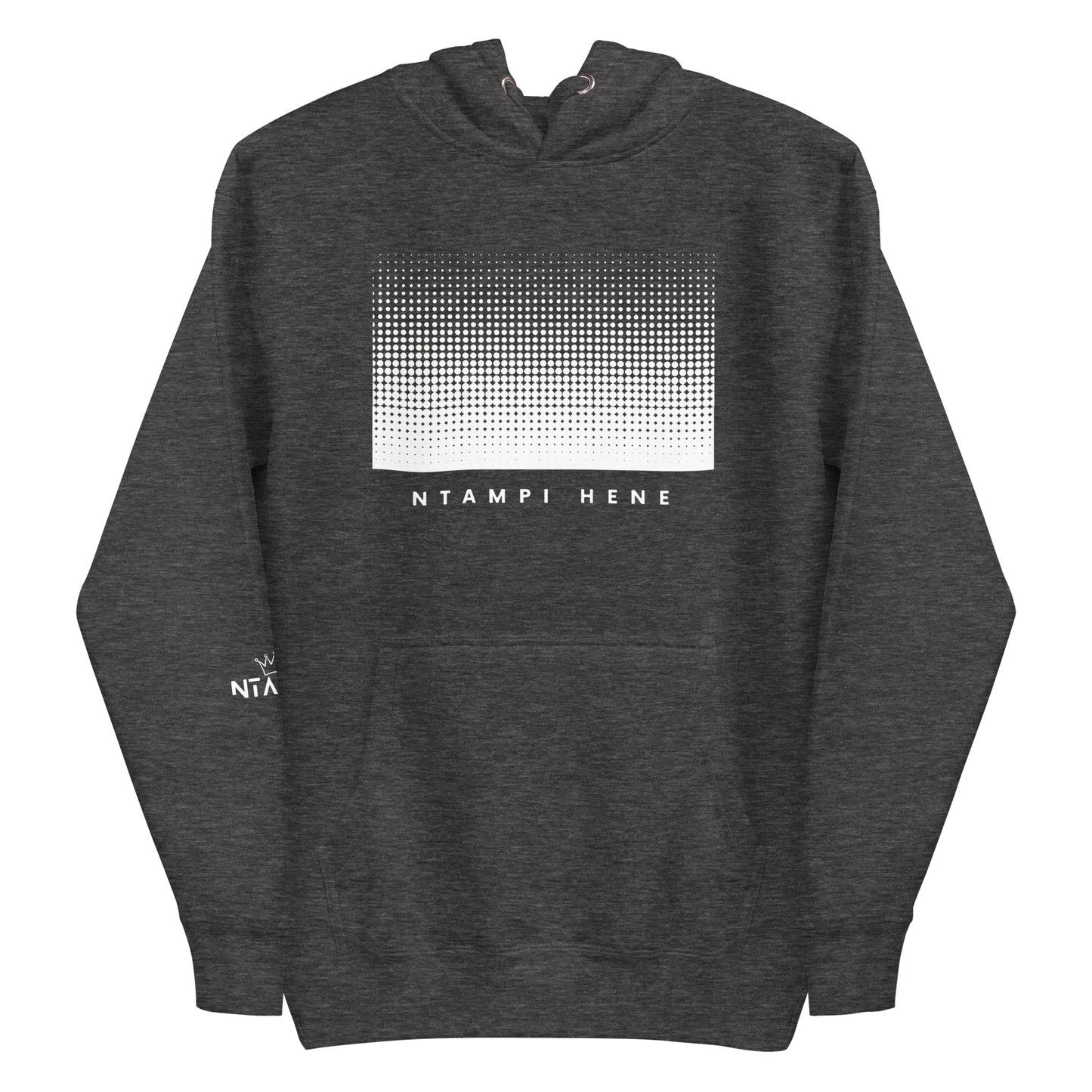 Ntampi Hene Gradient Hoodie — Elevate Minds Edition