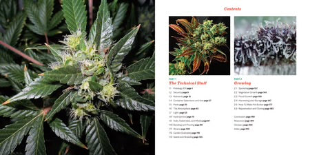 Marijuana 101 | The Cultivation Primer