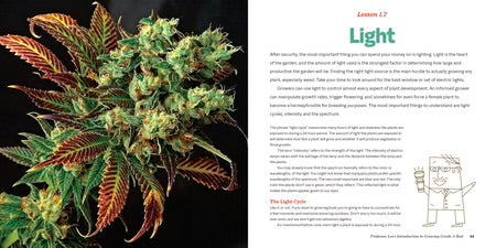 Marijuana 101 | The Cultivation Primer