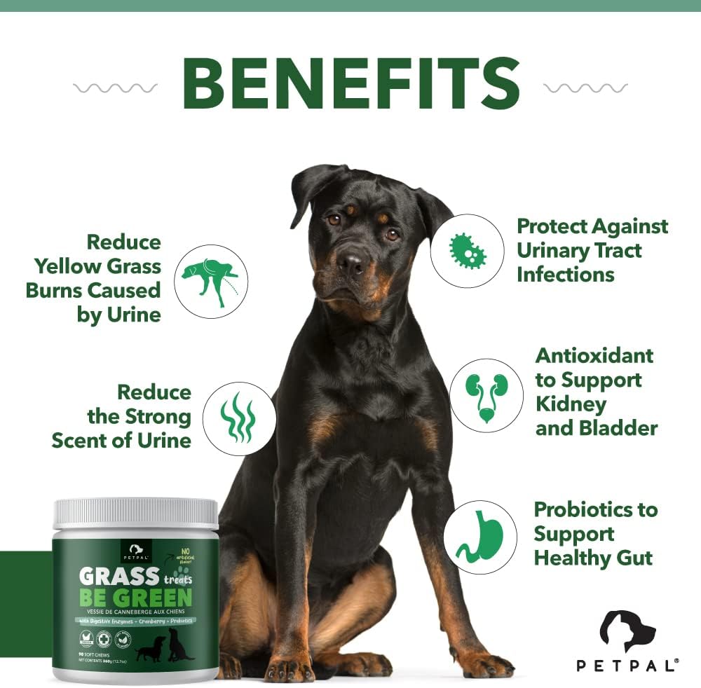 PetPal | Green Grass Urine Soft Chew Treats for Dogs_1