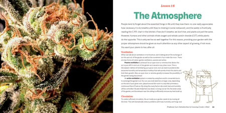 Marijuana 101 | The Cultivation Primer