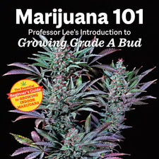 Marijuana 101 | The Cultivation Primer