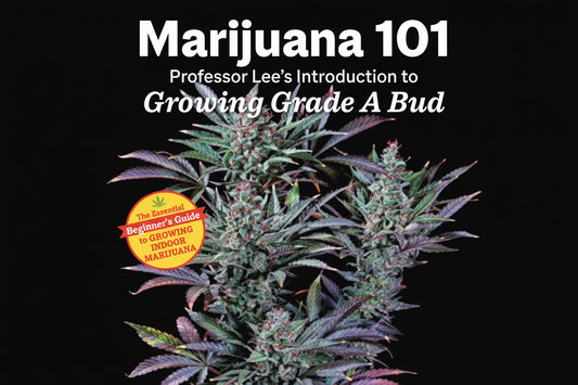 Marijuana 101 | The Cultivation Primer