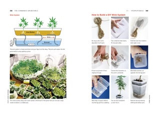 The Cannabis Grow Bible, 4th Edition | The Master’s Manual