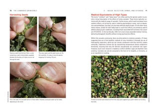 The Cannabis Grow Bible, 4th Edition | The Master’s Manual