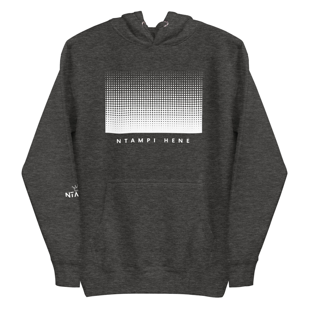 Ntampi Hene Gradient Hoodie — Elevate Minds Edition