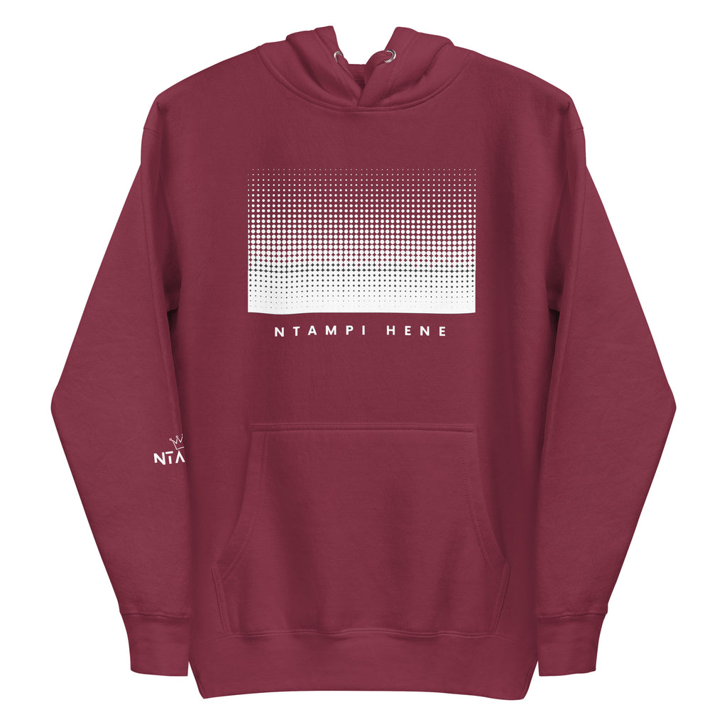 Ntampi Hene Gradient Hoodie — Elevate Minds Edition