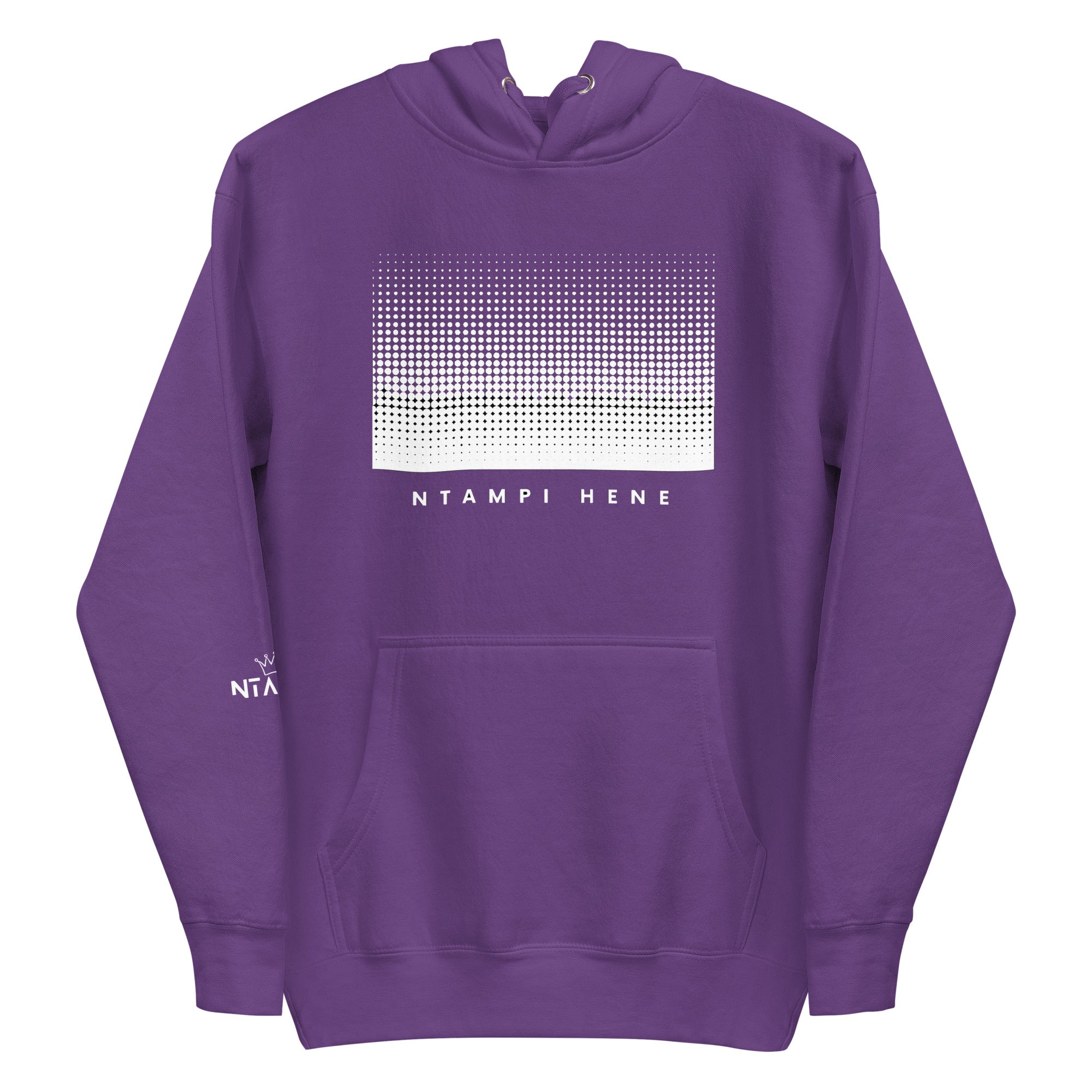 Ntampi Hene Gradient Hoodie — Elevate Minds Edition