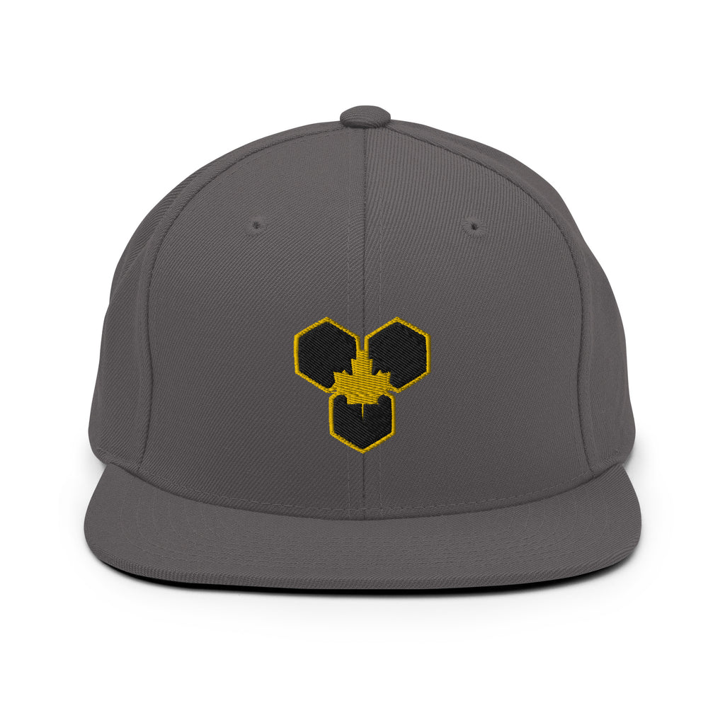 Royal Mark Snapback — Gold Emblem Edition